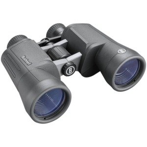 Bushnell Powerview 2 Bino 10X50 Black