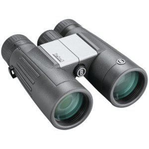 Bushnell Powerview 2 Bino 10X42 Black