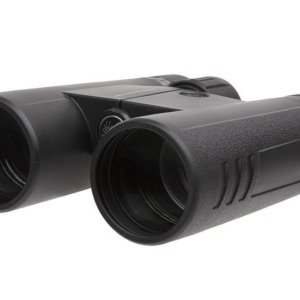 SIG SAUER Buckmasters Bino 10X42 Black